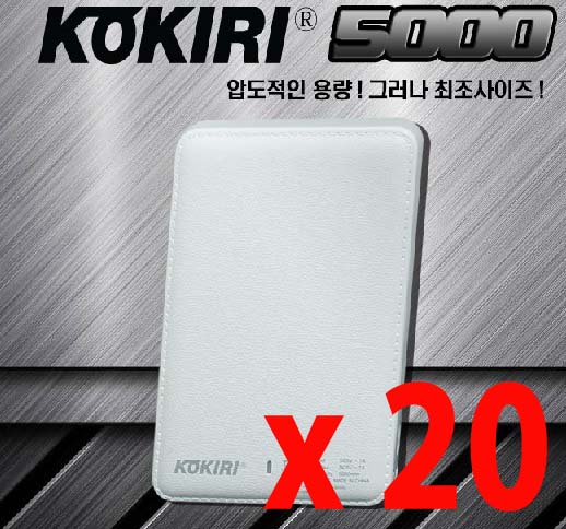 �ڳ�����뷮 �������͸�5000 (20������ �뷮����)