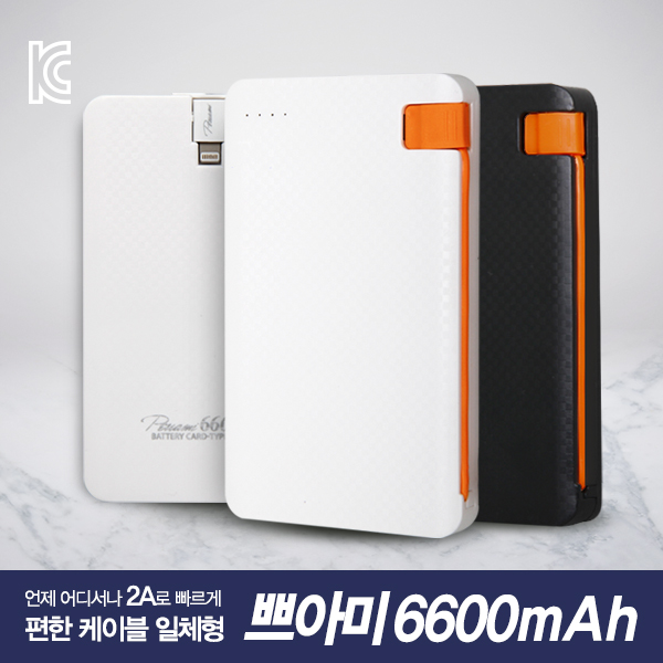 �ַ��� �ھƹ� 6600mAh ��뷮 �������͸� (8����������)