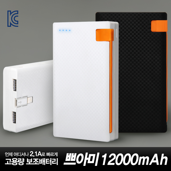 �ַ��� �ھƹ� 12000mAh ��뷮 �������͸� (8����������)