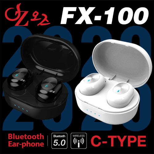 ���� FX-100 TWS �������� �̾���